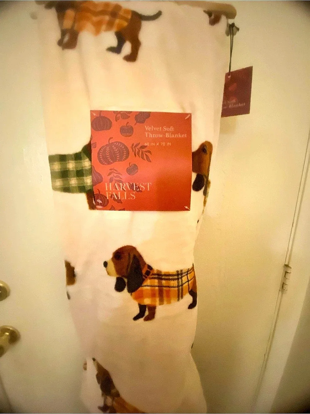 Harvest Falls Velvet Soft Throw Blanket Pumpkin Dog White & Orange NWT